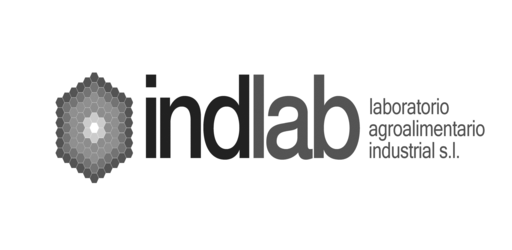 LOGO INDLAB